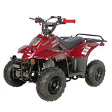 Supermach ATV CT110-2R with Reverse