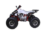 what size battery for 125cc atv